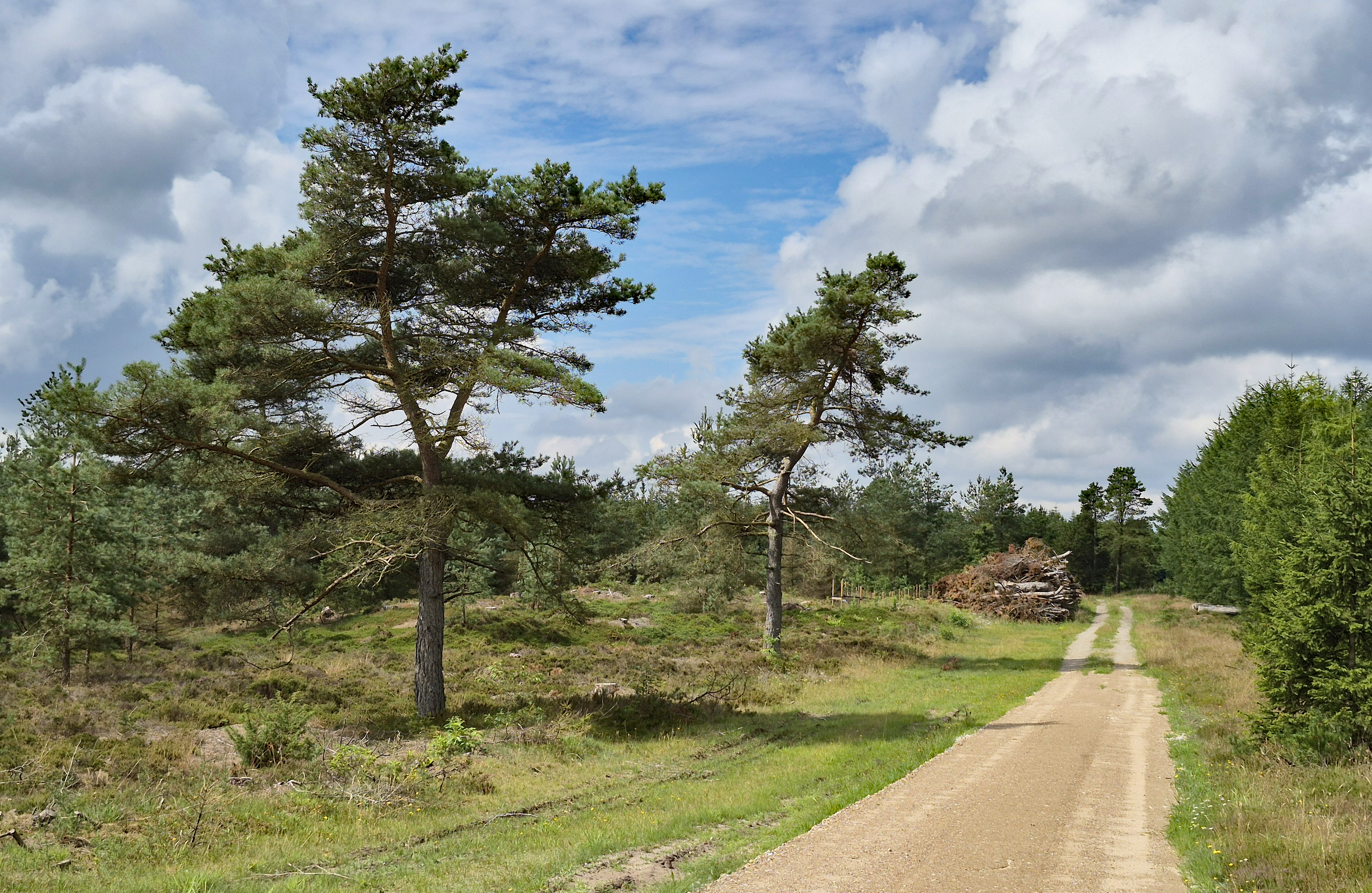 Tur til Risbøl Sande